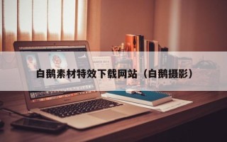 延安白鹅素材特效下载网站（白鹅摄影）